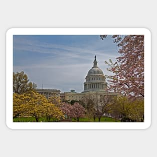 Spring in Washington DC Sticker